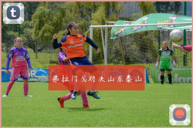 弗拉门戈对决山东泰山