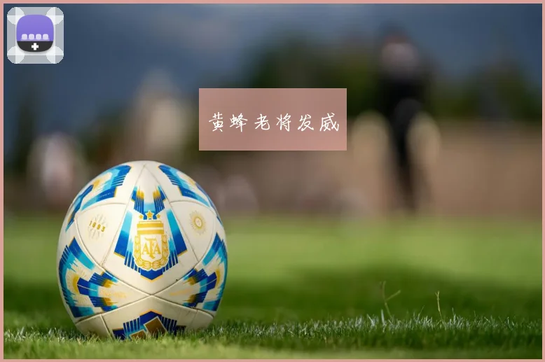黄蜂老将发威