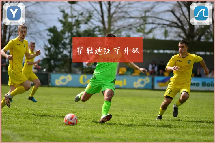 霍勒迪防守升级