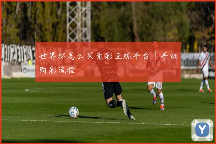 世界杯怎么买竞彩正规平台｜手机购彩流程