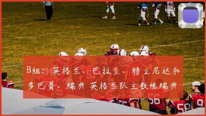 B组：英格兰、巴拉圭、特立尼达和多巴哥、瑞典 英格兰队主教练瑞典人埃里克森碰上了自己的祖国瑞典队