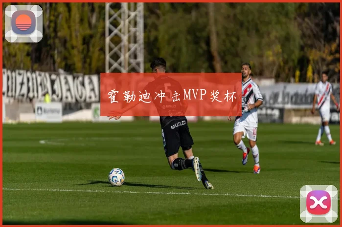 霍勒迪冲击MVP奖杯