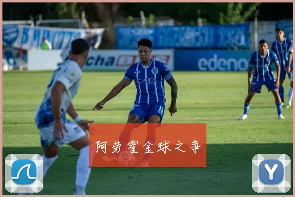 阿劳霍金球之争