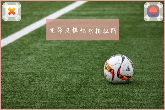 里昂交锋帕尔梅拉斯