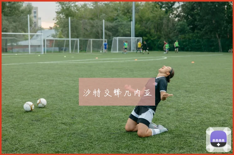 沙特交锋几内亚