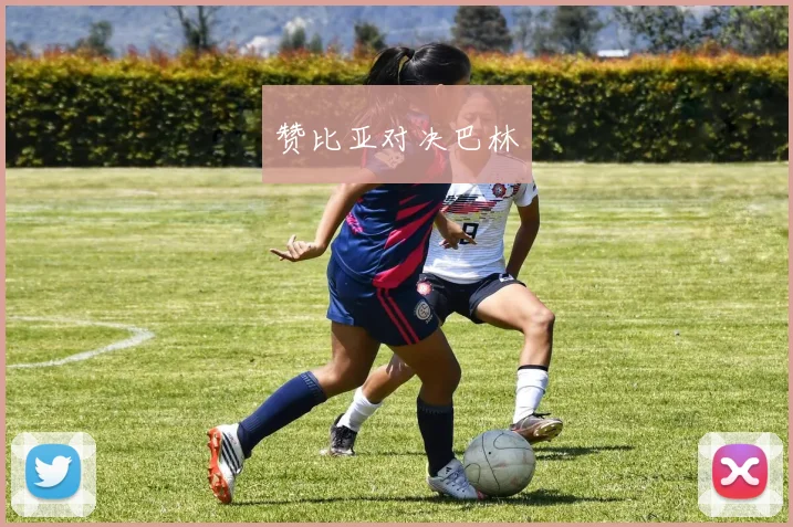 赞比亚对决巴林