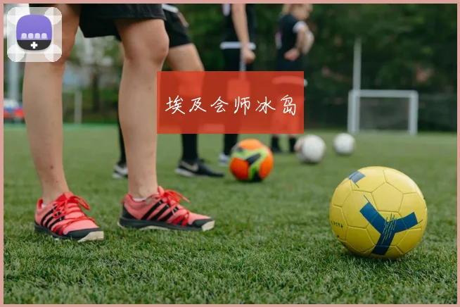 埃及会师冰岛