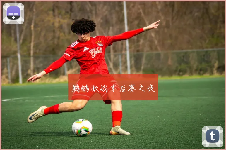 鹈鹕激战季后赛之夜