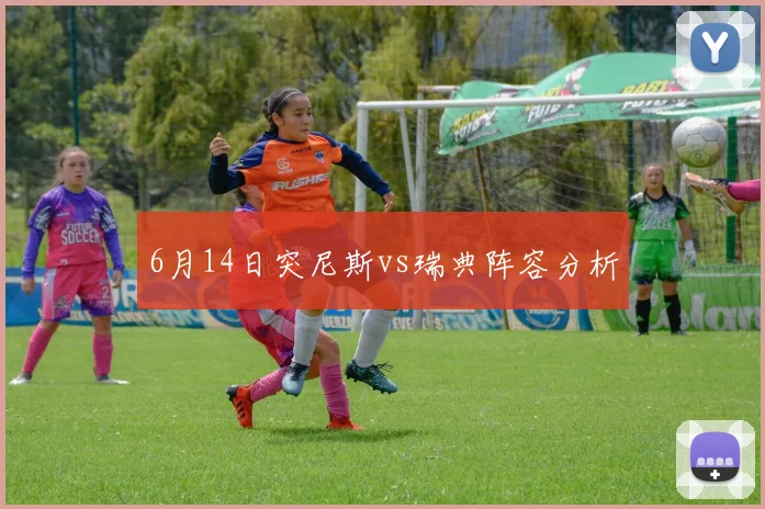 6月14日突尼斯vs瑞典阵容分析