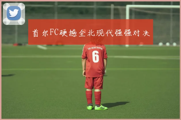 首尔FC硬撼全北现代强强对决