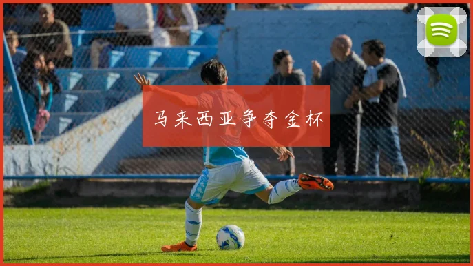 马来西亚争夺金杯