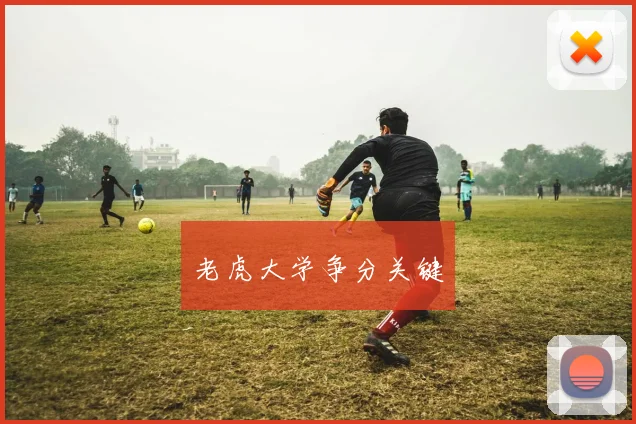 老虎大学争分关键