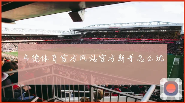 韦德体育官方网站官方新手怎么玩