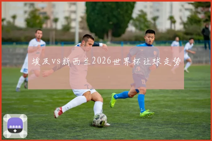 埃及vs新西兰2026世界杯让球走势