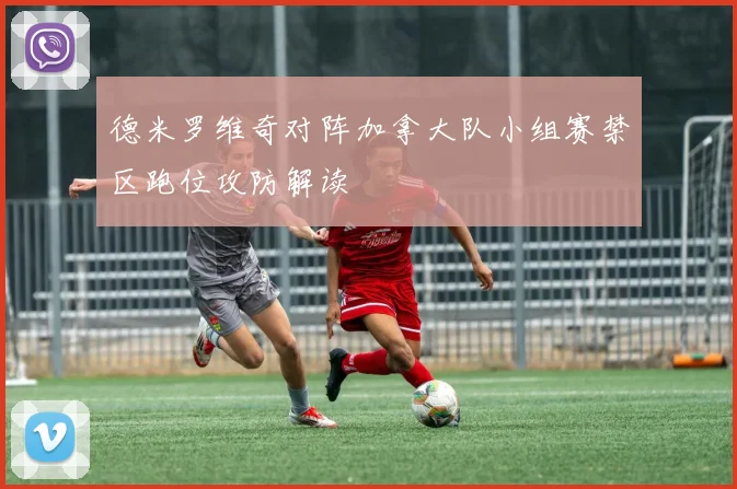 德米罗维奇对阵加拿大队小组赛禁区跑位攻防解读