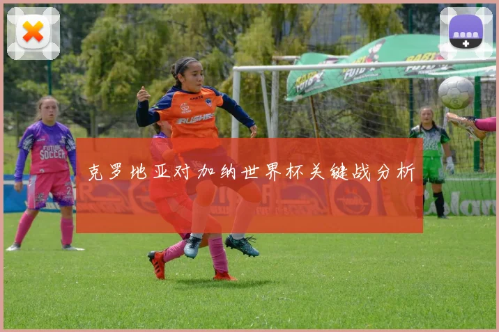 克罗地亚对加纳世界杯关键战分析