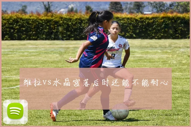 维拉vs水晶宫落后时还能不能耐心