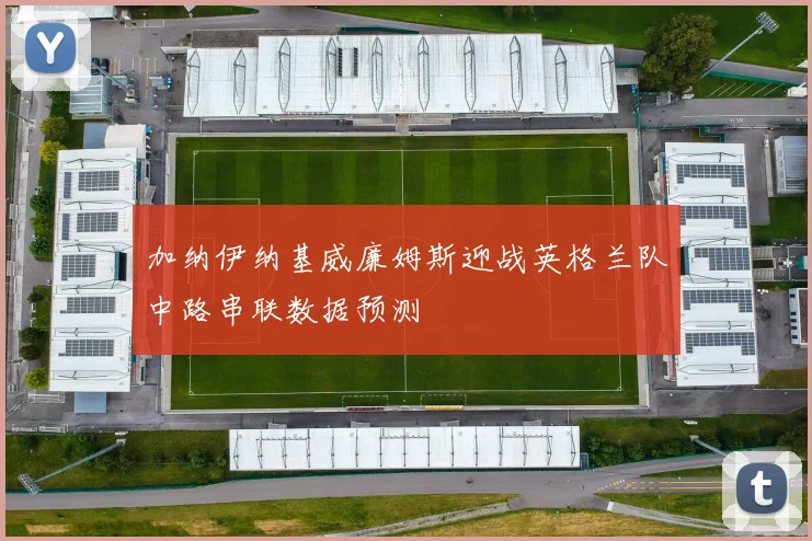 加纳伊纳基威廉姆斯迎战英格兰队中路串联数据预测