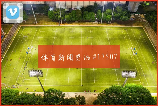 6月19日巴拉圭vs土耳其实力对比